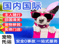 杭州航空快运国际宠物托运 【国